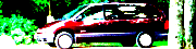 Trip Reports